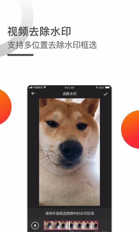 短视频去水印1.0.2