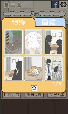 家有可爱兔