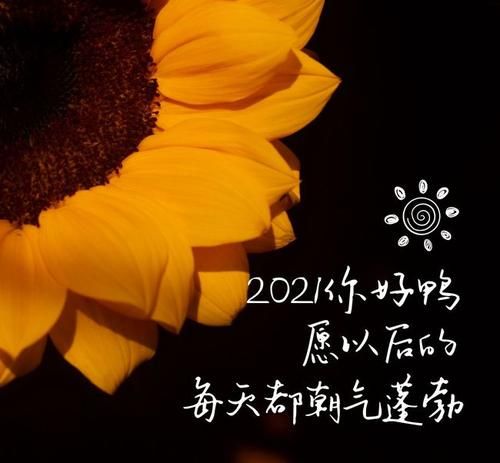 2020最后一天朋友圈怎么写