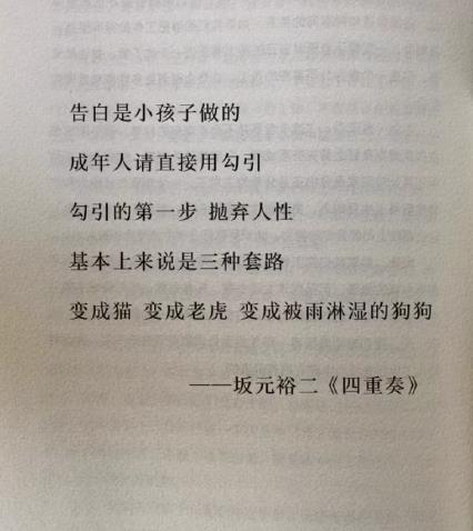 像猫像老虎像被雨淋湿的狗狗是什么梗