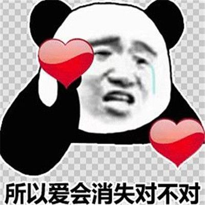 所以爱会消失对不对什么梗