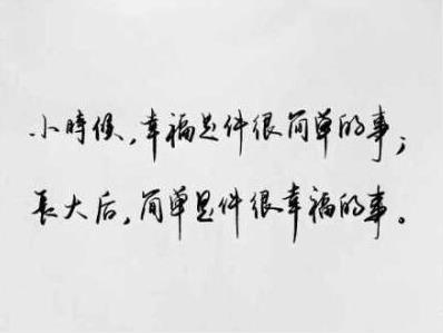 平平淡淡的幸福不会有孤独什么歌