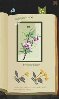 老农种树版