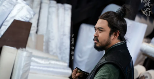 赘婿大聪明是什么意思