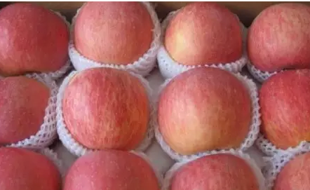 吃苹果时太酸了该怎么办