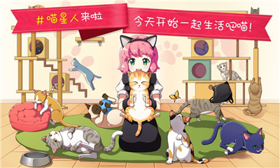 猫猫咖啡屋游戏