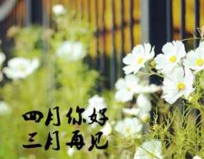 四月你好文字图片大全