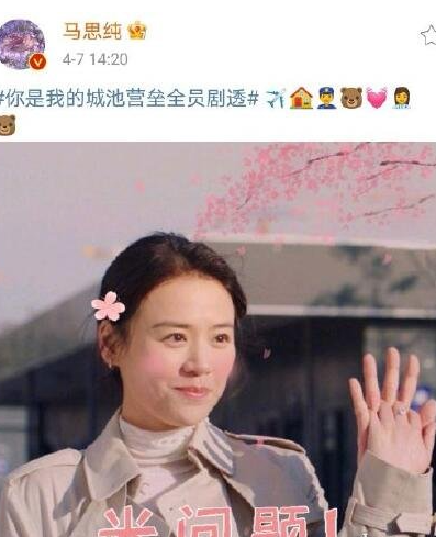 你是我的城池营垒表情包剧透解析