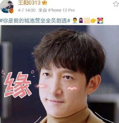 你是我的城池营垒表情包剧透解析