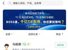 BOSS通安卓版