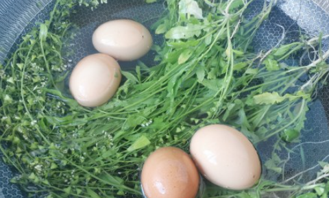 三月三吃荠菜煮鸡蛋作用