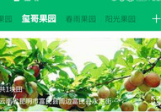 云上果园专业版V0.0.1.2