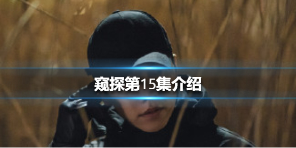 窥探15集剧情介绍