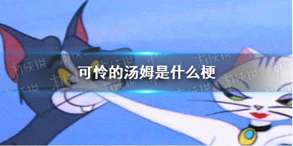 可怜的汤姆梗含义和出处