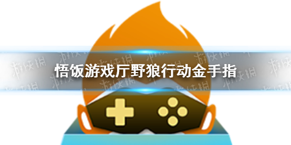 悟饭游戏厅赤影金手指代码指令汇总