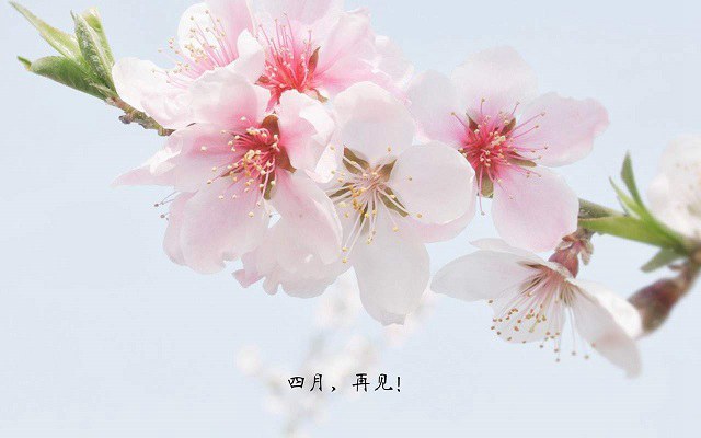 四月再见五月你好优秀图文大全