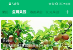 云上果园版V0.0.1.2