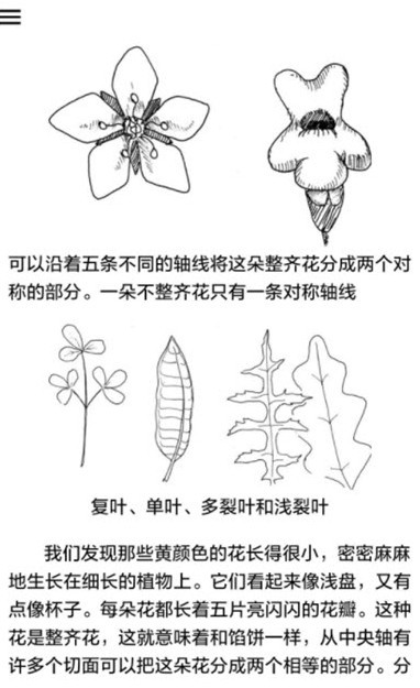 野外植物识别手册