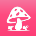 蘑菇赏手机版