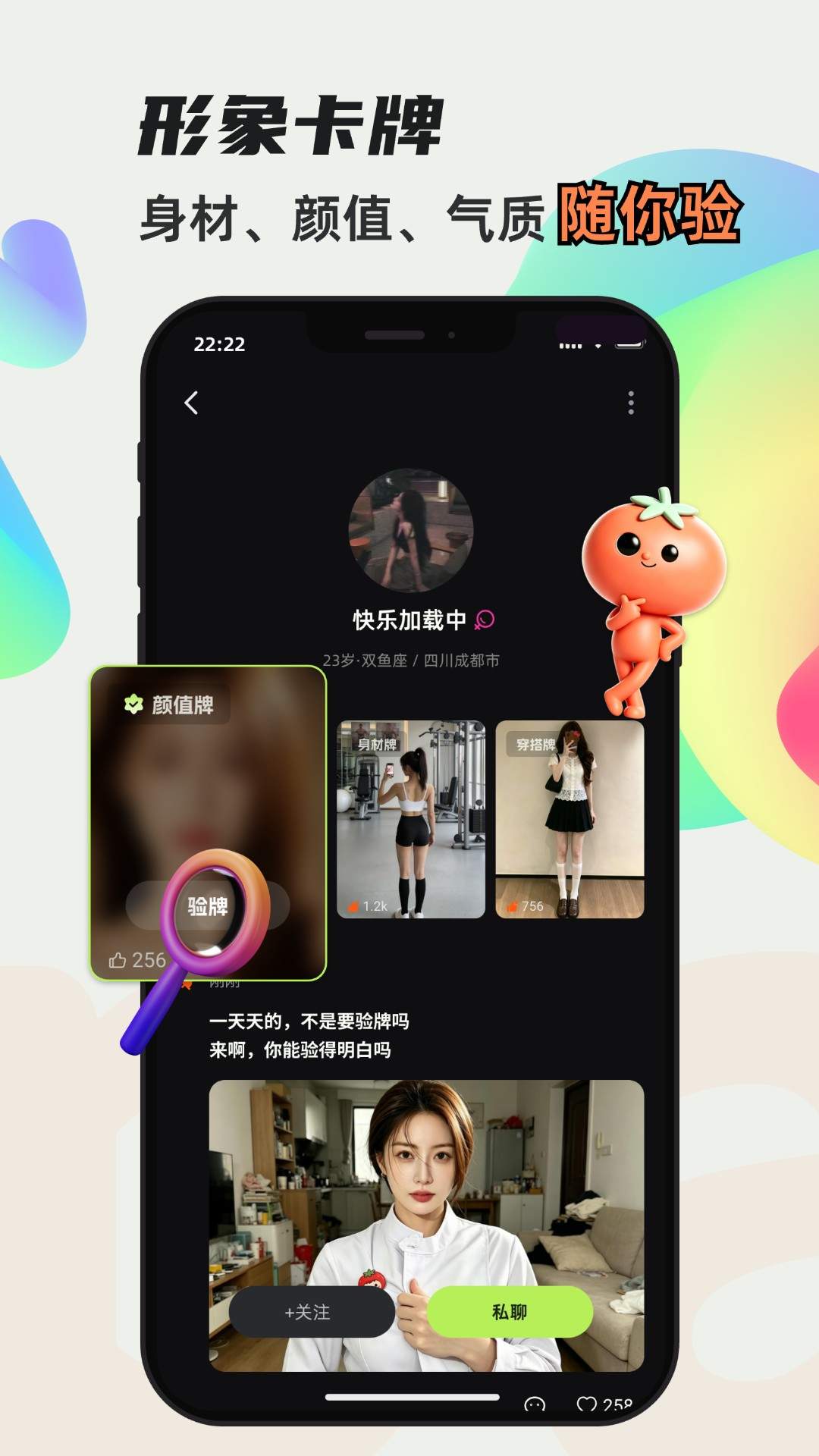 番派单机版