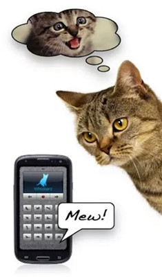 变声器人猫交流安卓版
