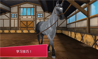 Horse Hotel