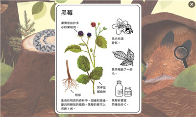 小棕鼠百科游戏