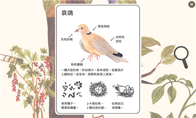小棕鼠百科游戏
