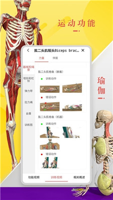 3Dbody解剖学安卓版
