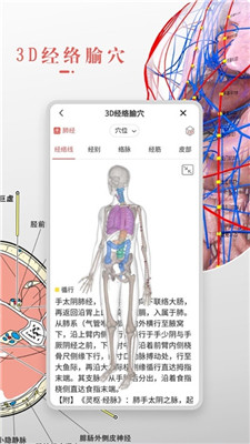 3Dbody解剖学安卓版