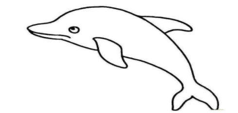 qq画图红包海豚怎么画-QQ画图红包所有图案画法大全