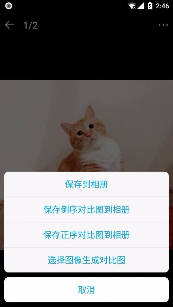 猫咪记账本1.0.1