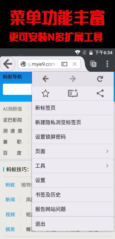 蚂蚁浏览器268.10