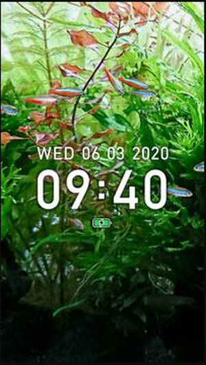 迷你水族热带鱼缸