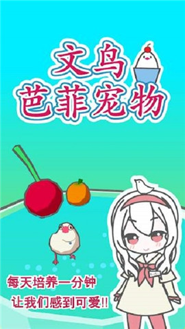 文鸟芭菲宠物