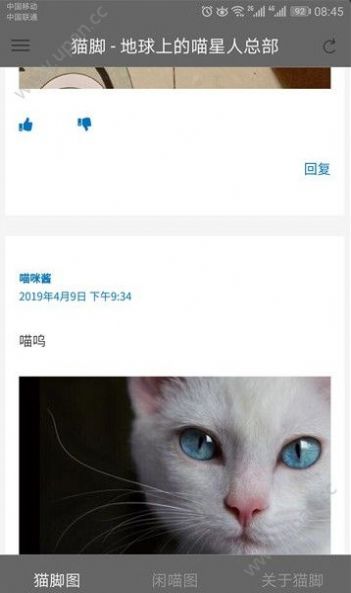 猫咪社区官网app安卓通道下载v2.0.2