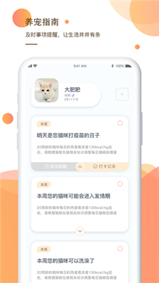 一只安卓版