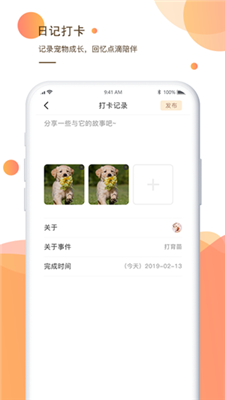 一只安卓版