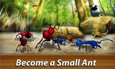 蚂蚁世界大战完整版