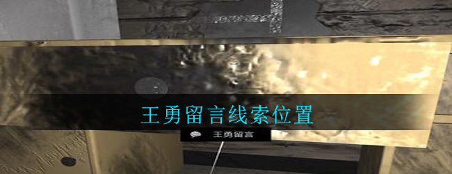 孙美琪疑案：郎威五级线索——王勇留言