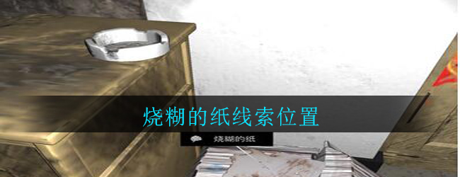 孙美琪疑案：郎威五级线索——烧糊的纸