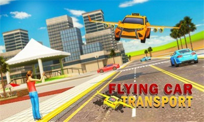 飞往天空正式版