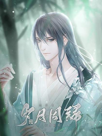 夕月同归完整版
