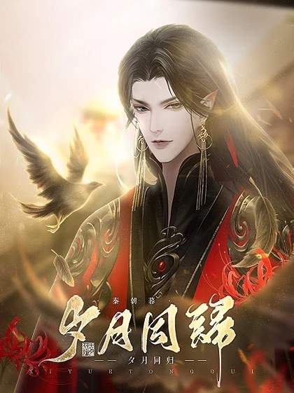 夕月同归完整版