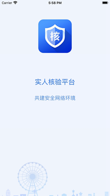 实人核验平台