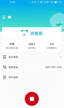 抓鱼猫最新版
