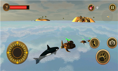 虎鲸生存模拟器游戏