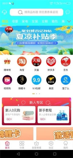 猫猫优选