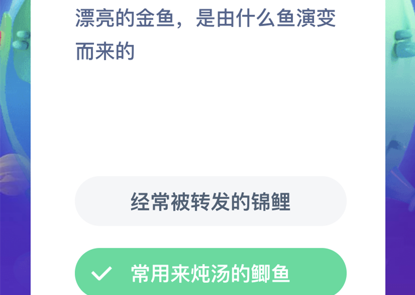 漂亮的金鱼是由什么鱼演变的