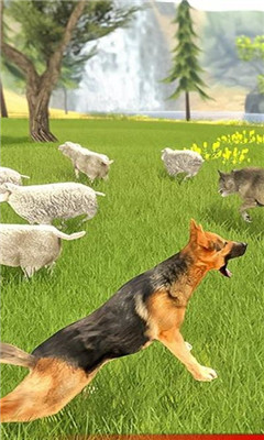 牧羊犬模拟器游戏